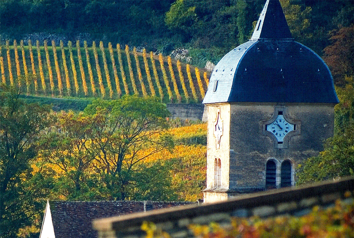 Chambolle Musigny