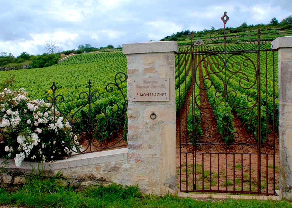 Puligny Montrachet